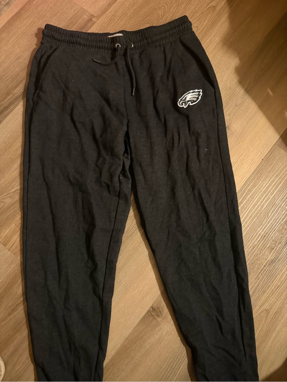 Gray Men's Philadelphia Eagles Sweatpants with Embroidered Logo